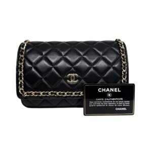 Chanel Wallet on Chain (WOC) M Size 99% New Black Crossbody bag 28 Series Cowhide