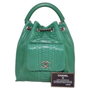 Chanel Backpack Large 99% NEW Green Backpack 22 Series Python Leather