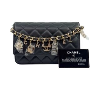 Chanel Wallet on Chain (WOC) M Size 99% New Black Crossbody bag 31 Series Lambskin Leather