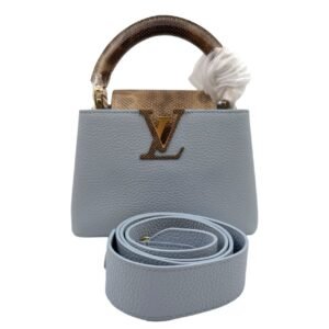 Louis Vuitton Capucines Small 99% New Gray-Blue Handbag Cowhide Leather & Snakeskin Leather